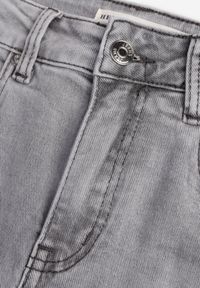 Renee - Szare Jeansy o Kroju Regular z Bawełnianego Denimu Timasta. Okazja: na co dzień. Kolor: szary. Styl: casual, klasyczny #5