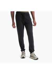 Icebreaker - Spodnie męskie icebreaker Merino er II. Kolor: czarny. Długość: długie #1