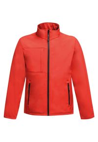 Regatta - Męski Softshell Octagon II. Kolor: czerwony, czarny, wielokolorowy. Materiał: softshell. Sport: turystyka piesza