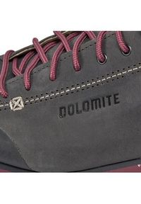 Dolomite Trekkingi Ws 54 High Fg Evo Gtx GORE-TEX 292533 Szary. Kolor: szary #5