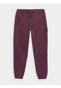 4f - Spodnie dresowe joggery męskie. Kolor: czerwony. Materiał: dresówka. Wzór: gładki #1