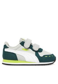 Sneakersy Puma. Kolor: szary
