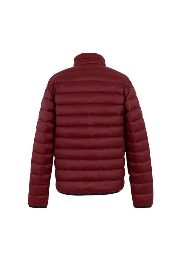 Regatta - Męska Ocieplana Kurtka Marizion. Kolor: czerwony. Materiał: puch. Sport: turystyka piesza