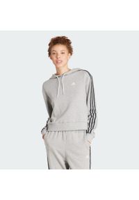 Adidas - Bluza z kapturem Essentials 3-Stripes Animal Print Relaxed. Typ kołnierza: kaptur. Kolor: szary. Długość: krótkie. Wzór: nadruk. Sport: fitness