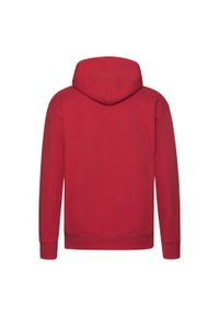 FRUIT OF THE LOOM - Męska Bluza Z Kapturem Premium. Typ kołnierza: kaptur. Kolor: czerwony