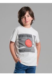 Sinsay - Bawełniana koszulka z nadrukiem - szary. Kolor: szary. Materiał: bawełna. Wzór: nadruk #1