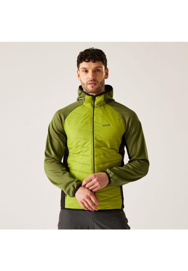 Regatta - Męska kurtka Andreson VIII Hybrid wodoodporna z przegrodami. Kolor: zielony. Materiał: puch. Sport: turystyka piesza