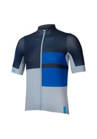 ENDURA - Koszulka rowerowa męska Endura FS260 Print S/S ink. Kolor: niebieski. Wzór: nadruk. Sport: kolarstwo