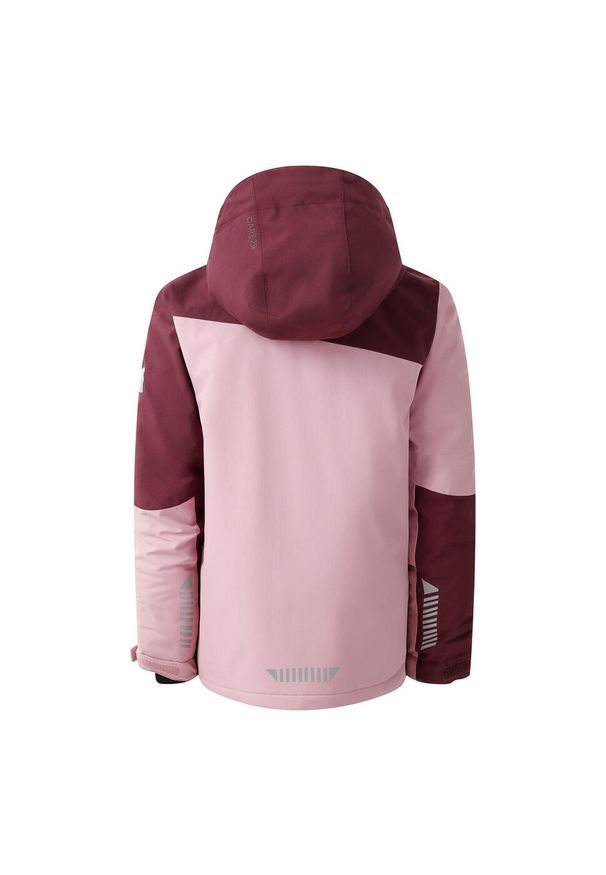 DARE 2B - Kurtka Narciarska Ripper Dla Dzieci/Kids. Kolor: fioletowy. Sezon: zima. Sport: narciarstwo