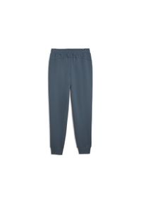 Puma Spodnie Ess Logo Fl 58671537. Kolor: niebieski