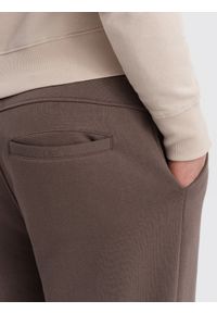 Ombre Clothing - Spodnie męskie dresowe z przeszyciem i zamkiem na nogawce - brązowe V4 - Rozmiar: XXL. Kolor: brązowy. Materiał: dresówka. Wzór: nadruk