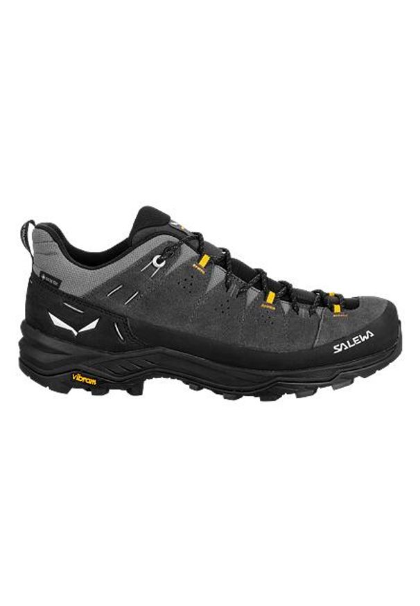 Buty trekkingowe męskie Salewa Alp Trainer 2 Gtx. Kolor: czarny, szary, wielokolorowy. Materiał: guma, zamsz. Sport: turystyka piesza