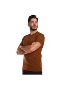 Koszulka Kilpi Sloper. Kolor: brązowy. Materiał: materiał, wełna, syntetyk. Sport: turystyka piesza #2