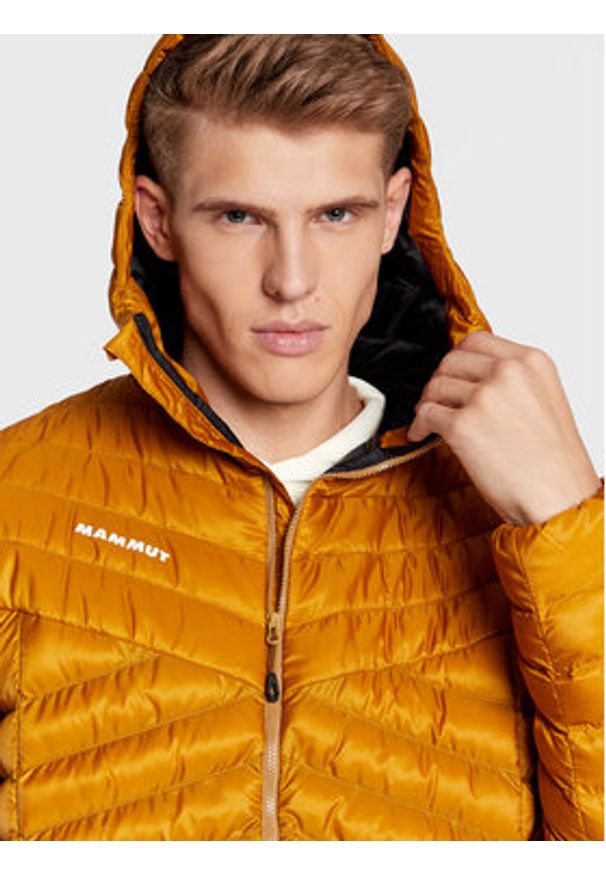 Mammut Kurtka zimowa Albula 1013-01781-7502-115 Brązowy Regular Fit. Kolor: brązowy. Materiał: syntetyk. Sezon: zima