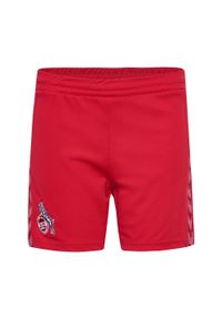 Hummel - Szorty na zewnątrz dla dziecka FC Cologne 2023/24. Kolor: różowy, czerwony, wielokolorowy. Długość: krótkie. Styl: młodzieżowy, sportowy