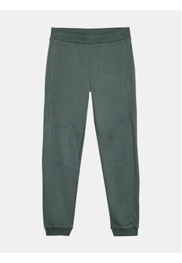 4f - 4F Spodnie dresowe 4FWSS24TTROM645 Zielony Regular Fit. Kolor: zielony. Materiał: bawełna