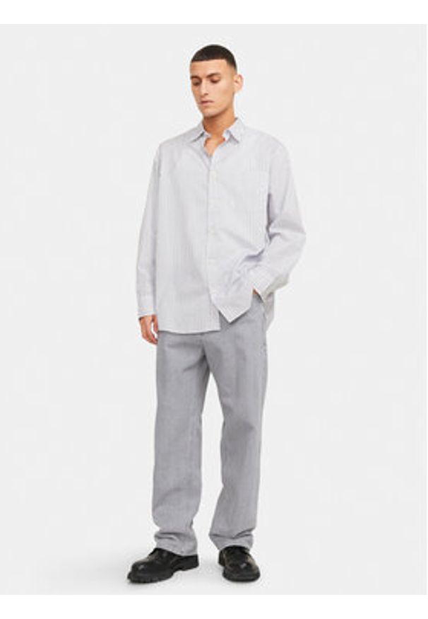 Jack & Jones - Jack&Jones Jeansy Alex 12249060 Szary Baggy Fit. Kolor: szary