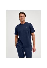 Hummel koszulka męska bawełniana logo haftowane hml Pulse T-shirt. Kolor: zielony, niebieski, wielokolorowy. Materiał: bawełna. Wzór: haft. Sport: fitness