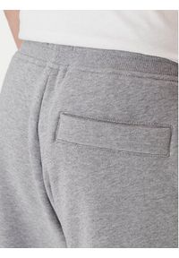 Aeronautica Militare Szorty sportowe 261BF0030UF00677 Szary Regular Fit. Kolor: szary. Materiał: bawełna. Styl: sportowy #3