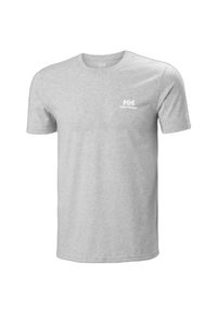 Koszulka Helly Hansen Nord Graphic. Kolor: szary #1