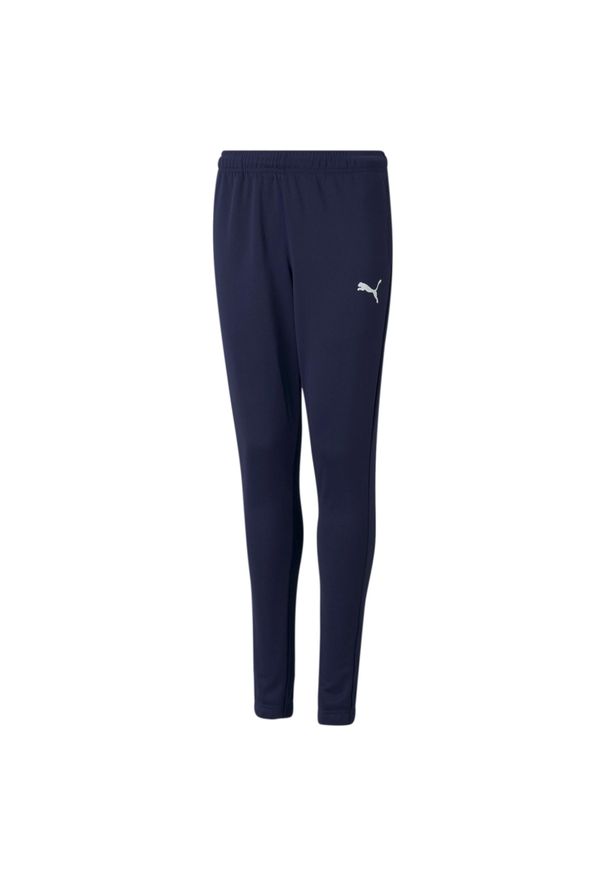 Spodnie piłkarskie dla dzieci Puma teamRISE Poly Training Pants Jr. Kolor: niebieski. Materiał: poliester. Sezon: zima. Sport: piłka nożna