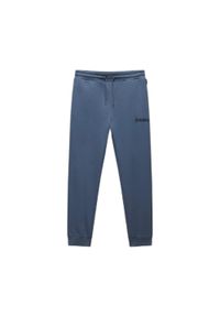 Spodnie do biegania Napapijri M-Gori. Kolor: zielony. Materiał: dresówka #1