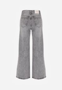 Born2be - Szare Bawełniane Jeansy o Szerokim Kroju z Wysokim Stanem i Przetarciami Ryrixia. Okazja: na co dzień. Stan: podwyższony. Kolor: szary. Styl: klasyczny, casual #6