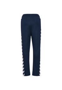 Spodnie dresowe dla dzieci Hummel Archive Regular Poly. Kolor: niebieski. Materiał: dresówka #1