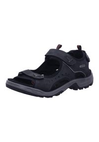 ecco - Buty do chodzenia męskie Ecco Offroad. Zapięcie: rzepy. Kolor: czarny. Materiał: guma, syntetyk, materiał