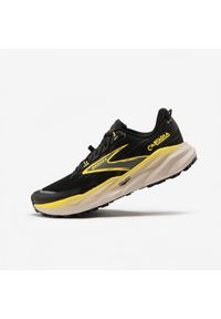 Buty do biegania w terenie męskie Brooks Cascadia 19. Sport: bieganie #1