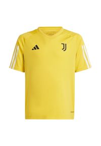 Adidas - Juventus Tiro 23 Training Jersey Juniors. Kolor: żółty. Materiał: jersey. Sport: piłka nożna