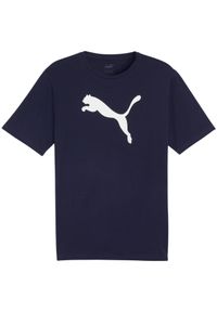 Koszulka męska Puma Team Rise Logo Jersey Cotton. Kolor: niebieski, biały, wielokolorowy. Materiał: jersey. Sport: piłka nożna, fitness #1