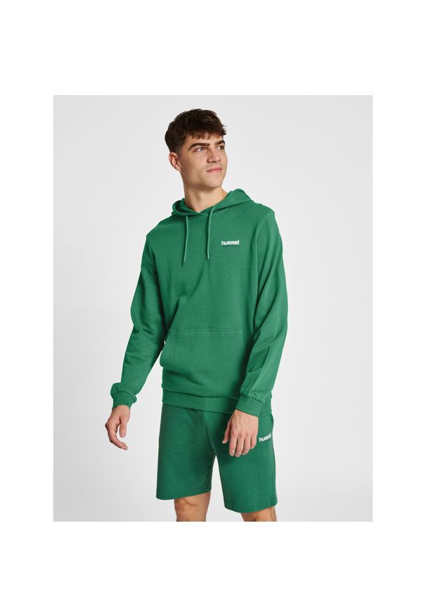 Bluza z kapturem Hummel lgc Gabe. Typ kołnierza: kaptur. Kolor: zielony