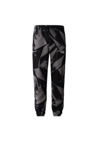 Spodnie The North Face Essential Jogger Print 0A881JSIF1 - szare. Kolor: szary. Materiał: dzianina, bawełna, dresówka, poliester. Wzór: nadruk #1