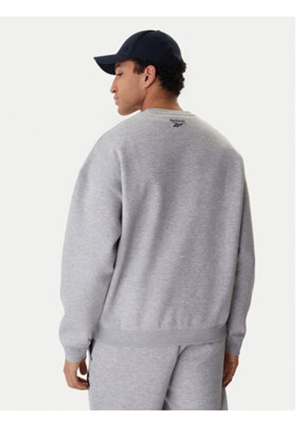 Reebok Bluza Barry RK25553CCM Szary Relaxed Fit. Kolor: szary. Materiał: bawełna