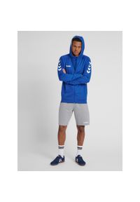 Bluza z kapturem sportowa męska Hummel Go Cotton Zip Hoodie. Typ kołnierza: kaptur. Kolor: szary, niebieski, wielokolorowy. Sport: taniec, joga i pilates