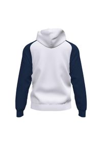 Bluza sportowa dla chłopców Joma Academy IV. Kolor: biały, wielokolorowy, niebieski. Styl: sportowy