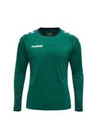 Strój bramkarski męski Hummel hml CORE. Kolor: zielony, biały, wielokolorowy. Sport: fitness #1