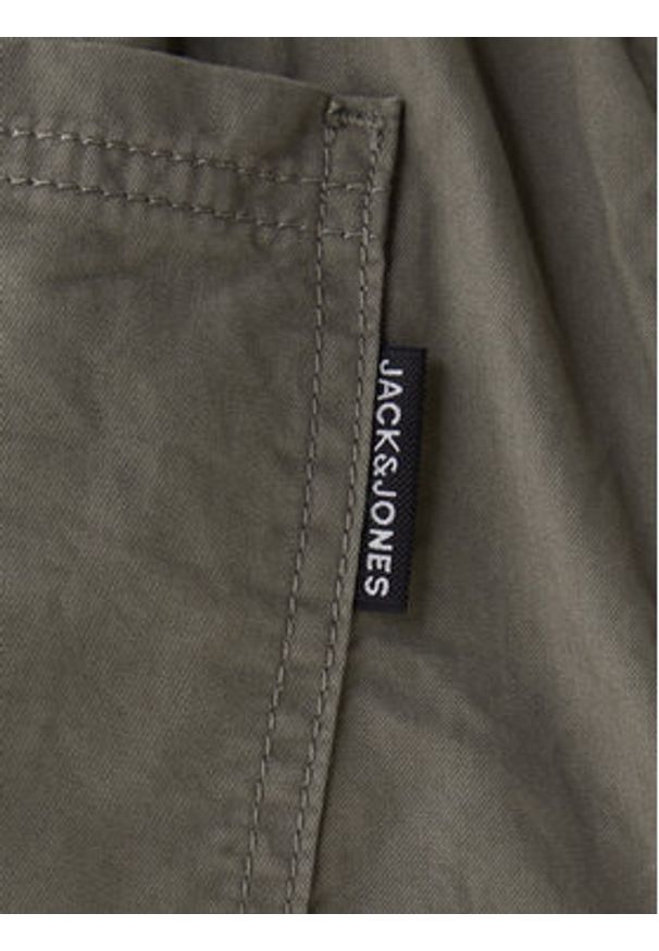 Jack & Jones Spodnie materiałowe Owen Cade 12282385 Zielony Baggy Fit. Kolor: zielony. Materiał: bawełna