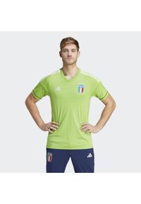 Adidas - Italy 23 Goalkeeper Jersey. Kolor: zielony. Materiał: jersey. Długość rękawa: krótki rękaw. Długość: krótkie #1