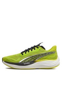 Puma Buty do biegania 380080 01 Zielony. Kolor: zielony. Materiał: materiał #5