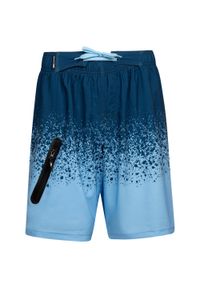 TRESPASS - Szorty Kąpielowe Męskie Adan. Kolor: niebieski. Styl: sportowy
