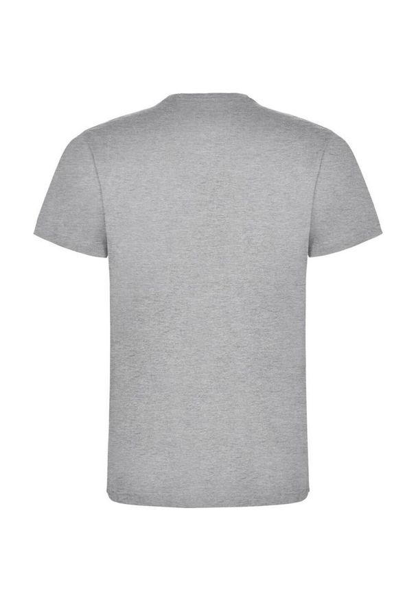 ROLY - Męska Koszulka Dogo Premium. Kolor: szary. Sport: turystyka piesza