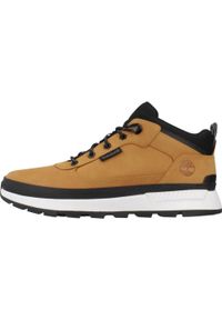 Buty Timberland Model Field Trekker Low Lace Kolor Jasnobrązowy. Kolor: brązowy, wielokolorowy, beżowy. Materiał: tkanina, skóra. Sport: turystyka piesza