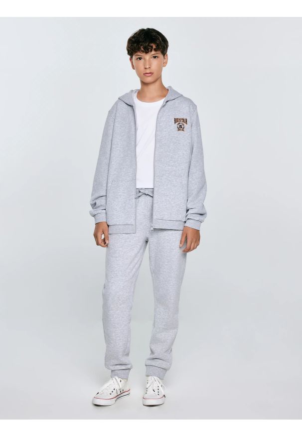 Big-Star - Spodnie chłopięce dresowe szare Lironp 901. Okazja: na co dzień. Kolor: szary. Materiał: dresówka. Wzór: haft. Styl: casual, elegancki, sportowy, klasyczny