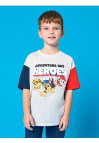 Sinsay - Koszulka PAW Patrol - szary. Kolor: szary #1