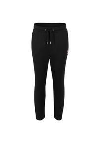 Damskie spodnie dresowe Fila Lobbes. Kolor: czarny. Materiał: dresówka. Długość: długie #1