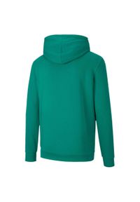 Bluza Puma TeamGoal 23 Casuals męska. Kolor: zielony