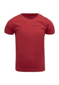 ALPINE PRO - Stylowy T-shirt dla dzieci Alpine Pro Bittoro 116-122. Kolor: zielony. Materiał: bawełna. Wzór: kolorowy. Sport: kolarstwo