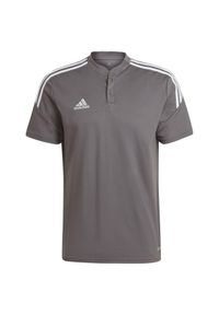 Adidas - Koszulka męska adidas Condivo 22 Polo. Typ kołnierza: polo. Kolor: szary